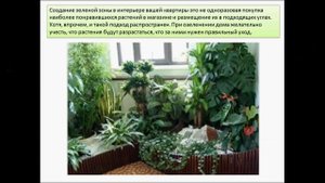 зеленый уголок в интерьере