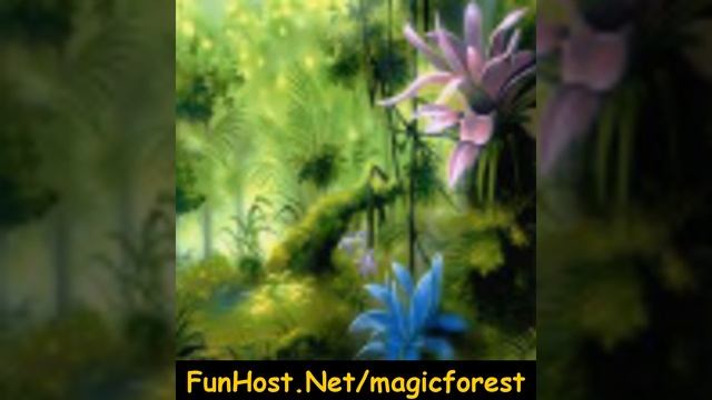 Magic forest - Online Video Game