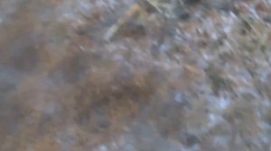 10 Пришельцев , Реально Снятых на Камеру !