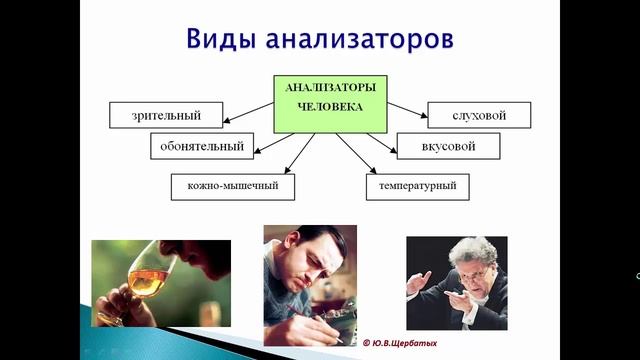 Ощущение (Психология ощущений)