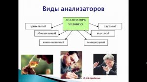 Ощущение (Психология ощущений)