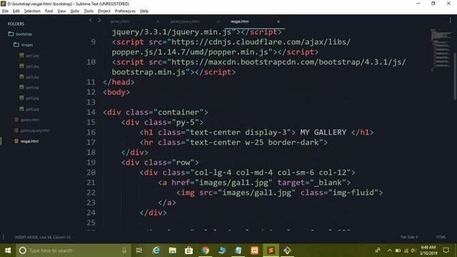 Create Responsive Image Gallery in HTML CSS JavaScript & Bootstrap With LightBox Slider Effects