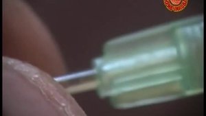 Инструментальное Осеменение пчелиных маток