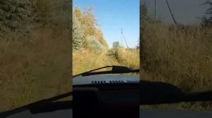 Дорога из выселок в санчелеево