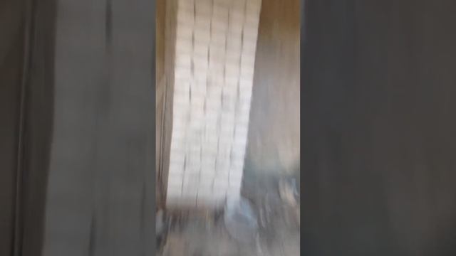 ЗАБРОШЕННЫЙ ВОЕННЫЙ СКЛАД/НАШЛИ МНОГО ЧЕГО ИНТЕРЕСНОГО/ЧАСТЬ 1 смотреть онлайн