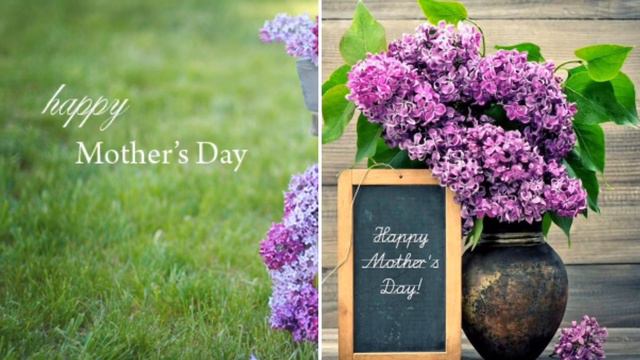 Happy Mother's Day 💖 смотреть онлайн