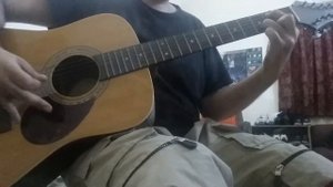12 strings guitar -samick greg bennett