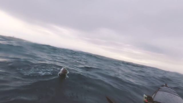 The Silver Ghost! A Perfect Start To Winter Fishing смотреть онлайн