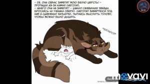 Приколы "Коты-Воители" часть 5.