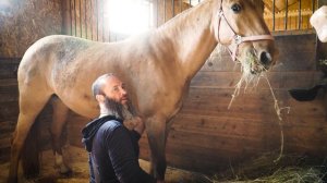 Лошадка кашляет. Лечим лошадку. Оздоровление животных посредством высокочастотной энергии.