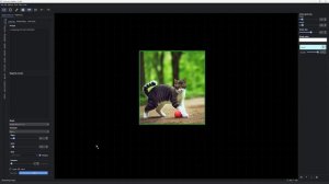 AI Runner v1.18.0 deterministic image batches