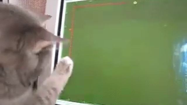 Глаша играет в «Змейку» смотреть онлайн