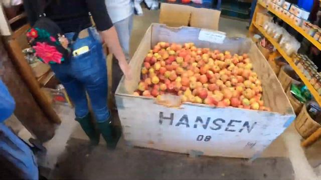 ?ДОЛИНА ЯБЛОК В КАЛИФОРНИИ/APPLE HILL/ ПУТЕШЕСТВИЕ. смотреть онлайн