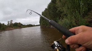 Каргасок. Томская область| 21-22.08.23| Рыбалка по большой воде...