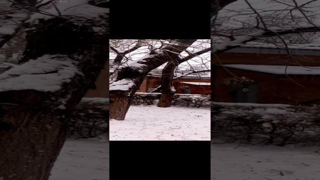 Гололедица.
