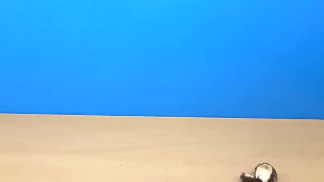 ПЕПИНО В ГОСТЯХ У ЖЕЛЕЙНОГО МЕДВЕДЬЯ смотреть онлайн