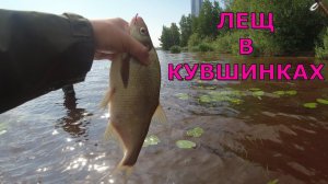 #476 #мормышинг  | Охота на лещей в кувшинках |