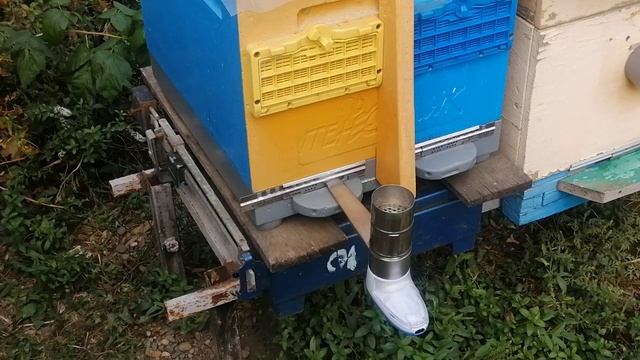 Простое и Эффективное приспособление для борьбы с клещем Варроа и Трахейным . смотреть онлайн