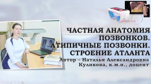 6. Частная анатомия позвонков. Атипичные позвонки. Атлант