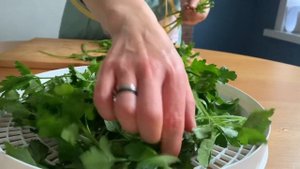 Домашняя приправа из сушеных овощей и зелени. Простой рецепт на зиму в электрической сушилке