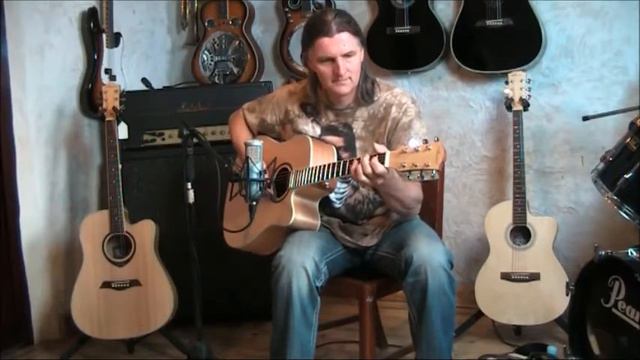 Gitara elektroakustyczna Ariana L806 смотреть онлайн
