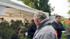 BONSAÏ CULTURE EXPO 2023 LIVE DEMO - C'est parti !  ? NEJIKAN BONSAI ?