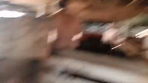 VJLink и Герман Ягодка несостоявшийся бой в загоне