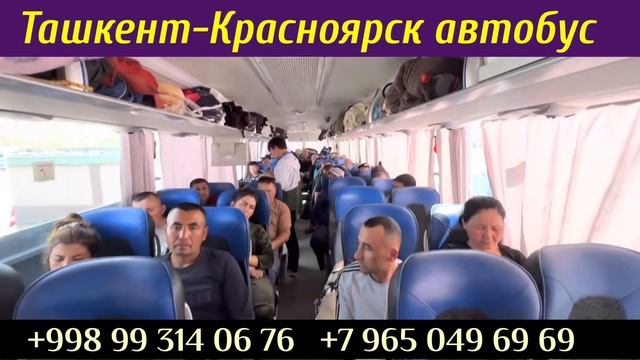 Ташкент Красноярск автобус Красноярск Ташкент