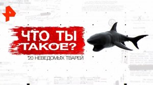 Что ты такое? 20 неведомых тварей. День "Засекреченных списков" (08.01.2020).