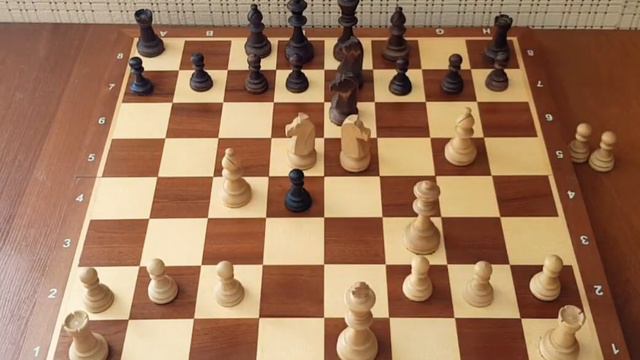 Блестящая комбинация в начале партии! Самый агрессивный дебют  Сильная игра  Шахматы!