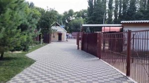 Липецкий зоопарк. В Липецке в Нижнем парке обитают удивительные животные. Видео прогулка пешком 202