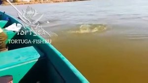 Астрахань Рыбалка п.Вышка