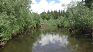 113 Серия Поймал рыбу Хариус Удочка Поплавок Тайга, дно Таежной реки, Вверх реки Даугли