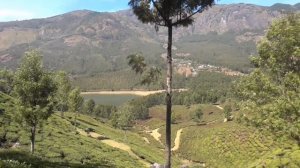 Интересные окресности Муннара(Interesting surroundings Munnar),Керала(Kerala),Индия(India)