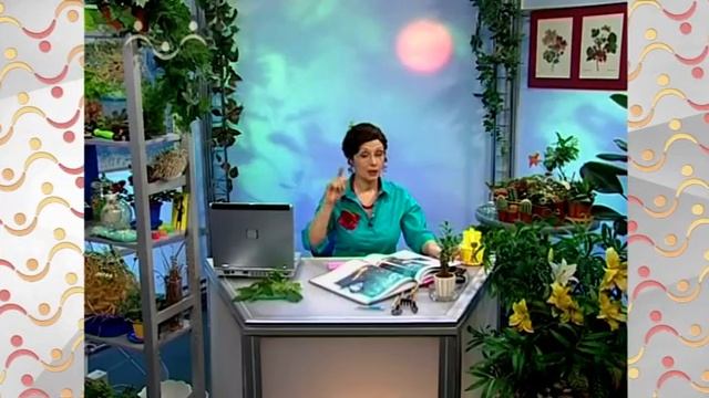 АЗН Биология. Растение колеус. Глубоководные удильщики. Утром на траве роса смотреть онлайн