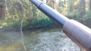 Якутия  хариус рвёт снасти /рыбалка на хариуса август 2023