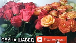 ХОЧИ МИРЗО КИССАИ ХАЗРАТИ ИБРОХИМ ПИСАРЧАИ 12 СОЛАИ ХУДРО КУРБОНИ МЕКНА