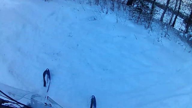 Охота на Dingo T150 || Рябчик с лунки || Вековая сосна смотреть онлайн