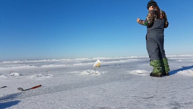 Корюшка, Кронштадт, 4 апреля 2018 смотреть онлайн