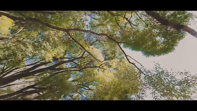 свадьба под ключ −организация