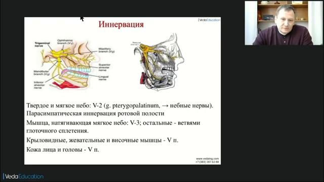 Роль окклюзии зубочелюстной системы в клинической картине вегетативных нарушений