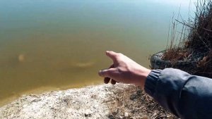 ТЕРРИТОРИЯ СБОРА АЛЮМИНИЕВЫХ ПИВНЫХ БАНОК  В ГОРОДЕ