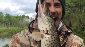 РЫБАЛКА в 30 км от Благовещенска / Поймали и ОТПУСТИЛИ 16 щук / Утопили самый ДОРОГОЙ воблер