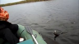 Рыбалка на Курячем