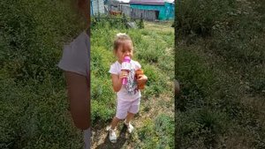 Откуда дырки в сыре песня