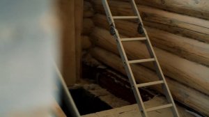 Сборка сруба на мох. Польза или обман