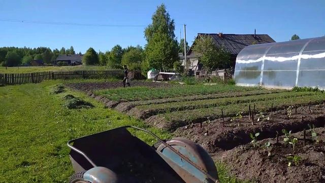 Жизнь в деревне//Ни минуты покоя//Осушили колодец. смотреть онлайн