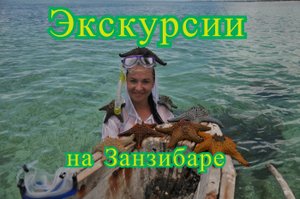 Экскурсии на занзибаре.