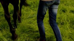 Ostfeather (Восточный ветер)