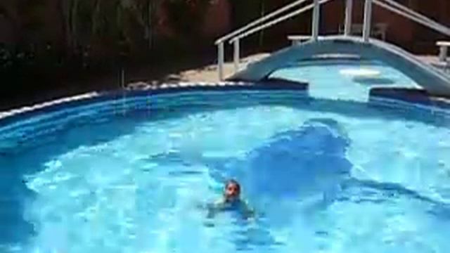 fidelito смотреть онлайн